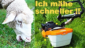 Tobis Gartenservice Rasenmäher