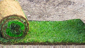 Tobis Gartenservice Rollrasen